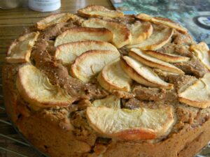 Apple Coconut Cake (Gf, Cf, Vegan)