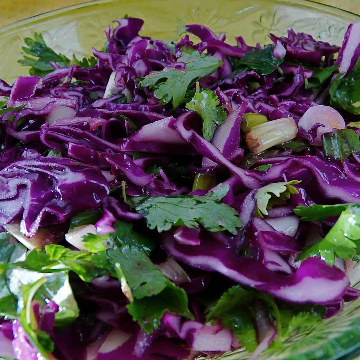 Vegan Red Cabbage Salad | Healthy and Delicious Recipe