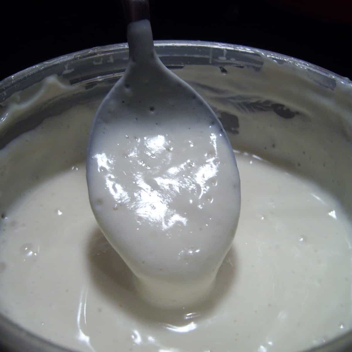 Vegan Sour Cream